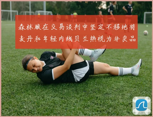 森林狼在交易谈判中坚定不移地将麦丹和年轻内线贝兰热视为非卖品